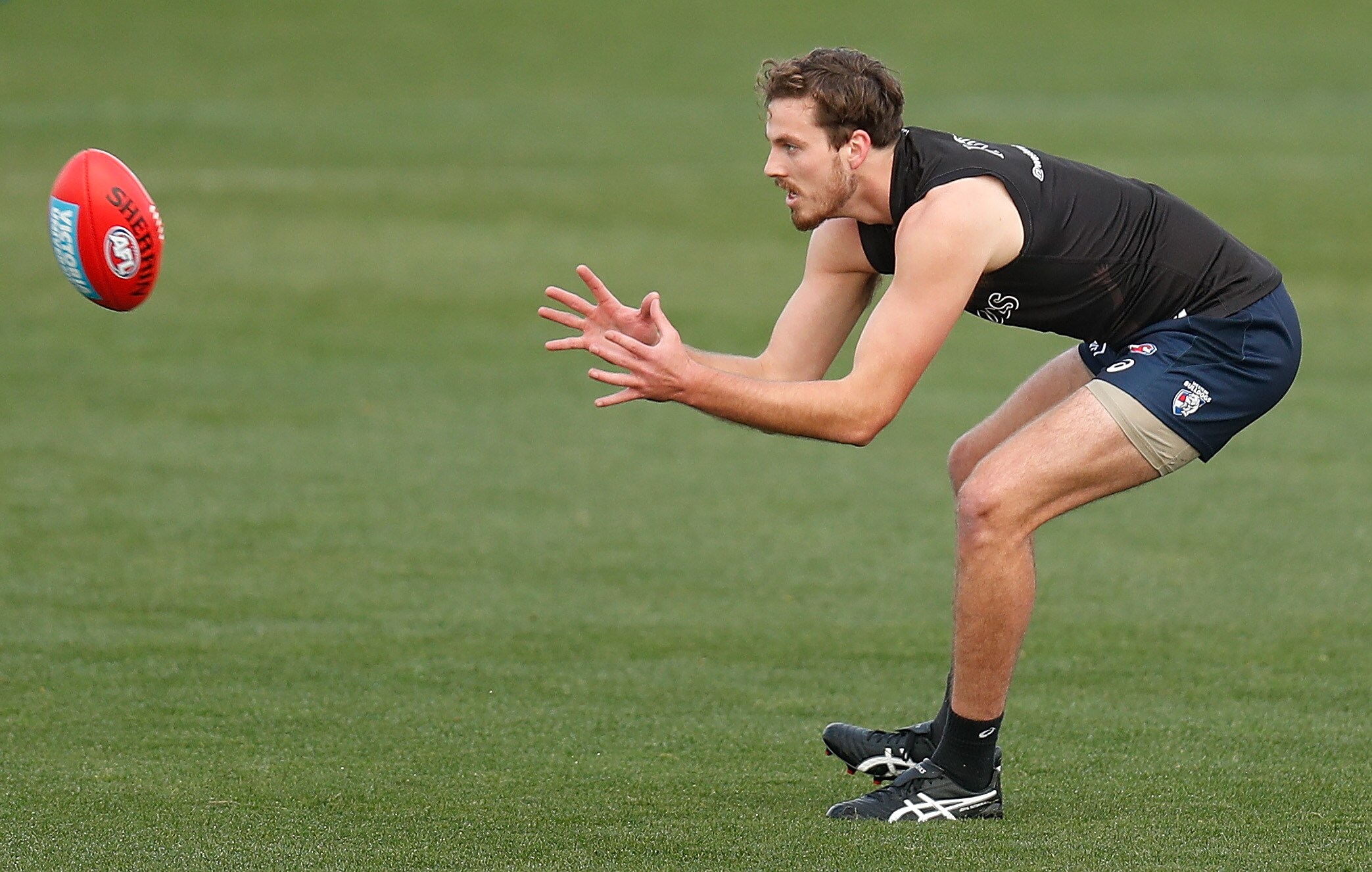Cordy to miss Crows clash