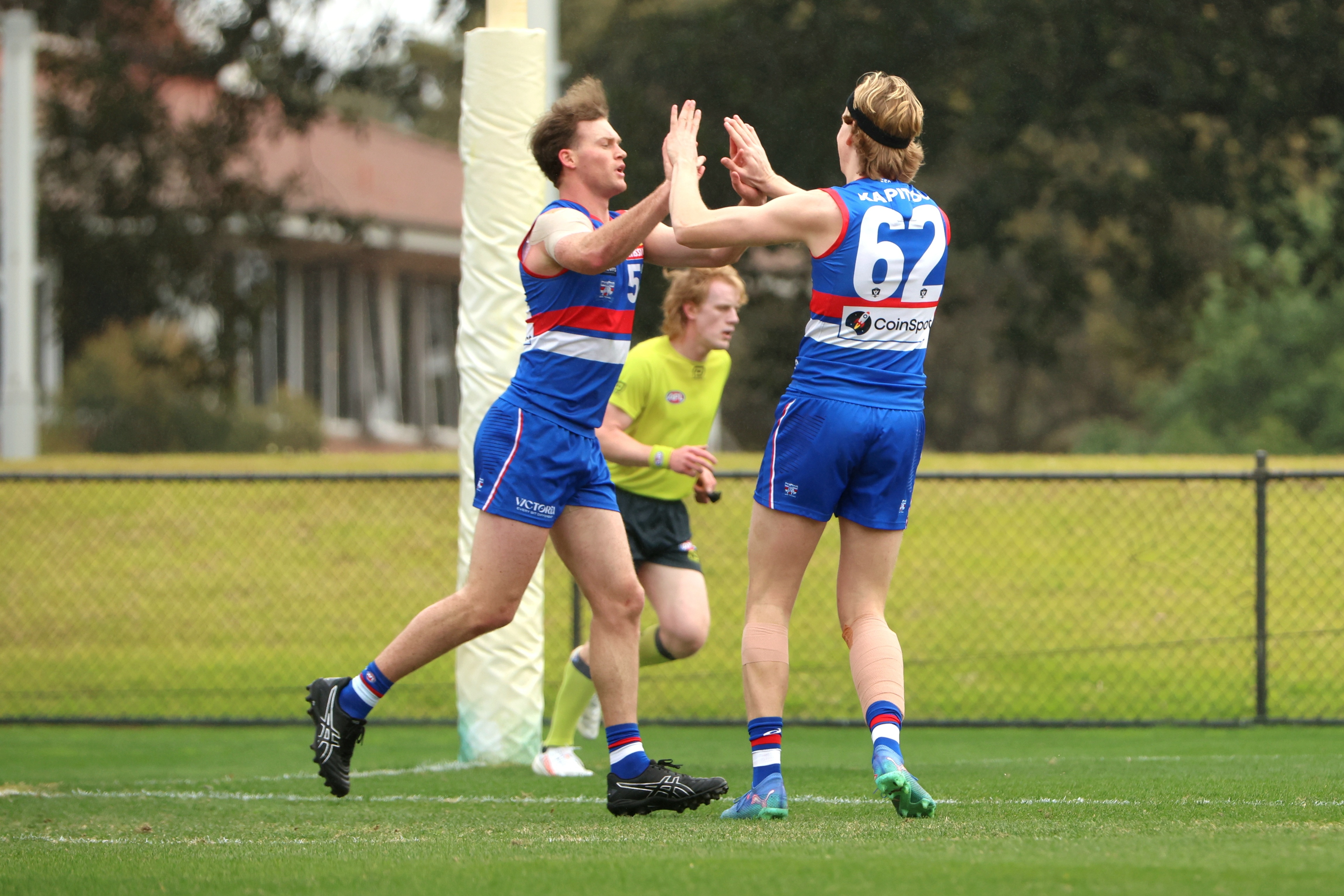 VFL Match report: Dogs deliver in Sydney
