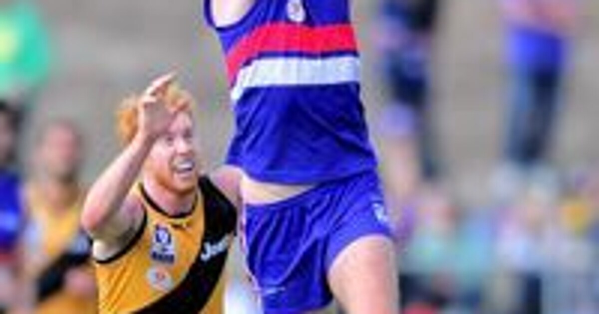 VFL Footscray face ladder leader