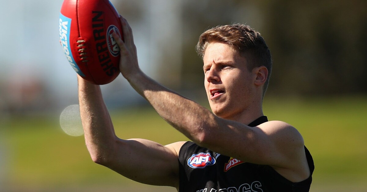 All on track for Dogs, says Hunter