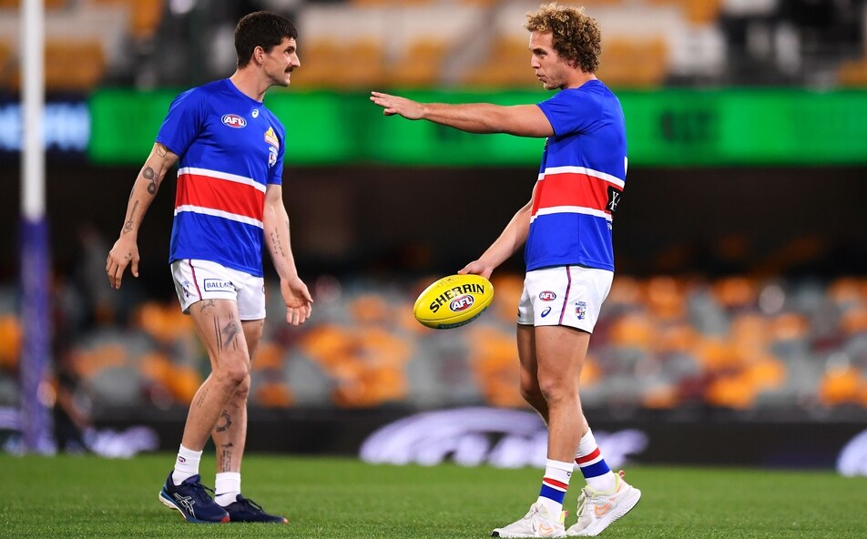 Dogs Eye Consistency Against Cats