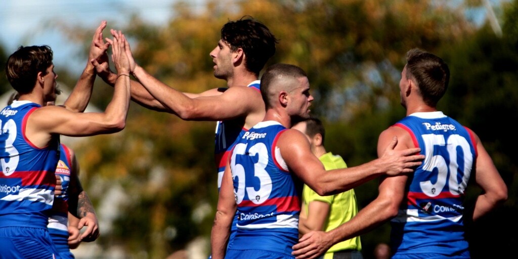 VFL Report | Round 6 - Vimarsana News