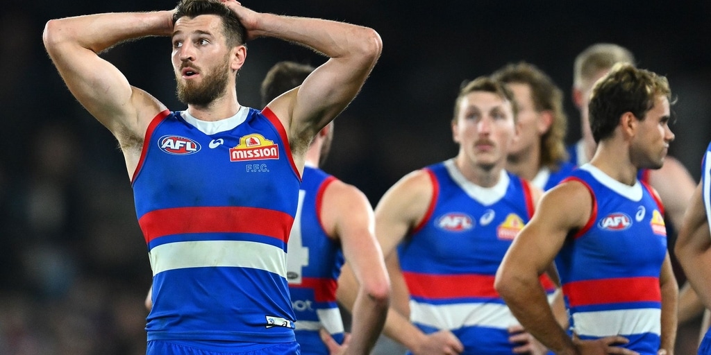 AFL Report | Dogs overrun by Cats - Vimarsana News
