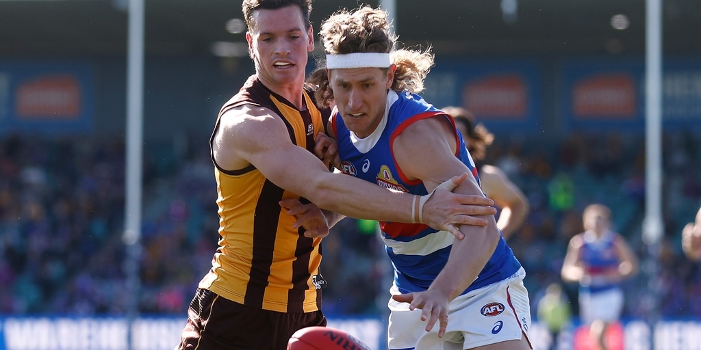 Bulldogs to host Hawks at VU Whitten Oval - Vimarsana News