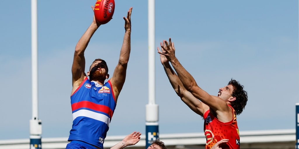The turnover game: Staggering stats behind Dogs' impressive victory - Vimarsana News