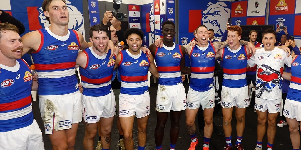 Dogs off the canvas after Saints win - Vimarsana News