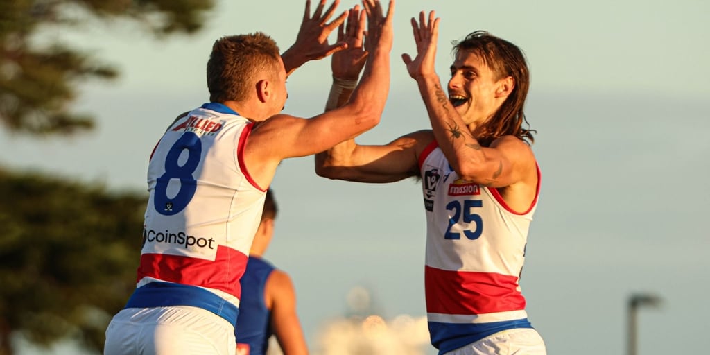 VFL player summary: Round 4 v Williamstown - Vimarsana News