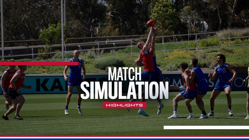 Match Sim | Highlights