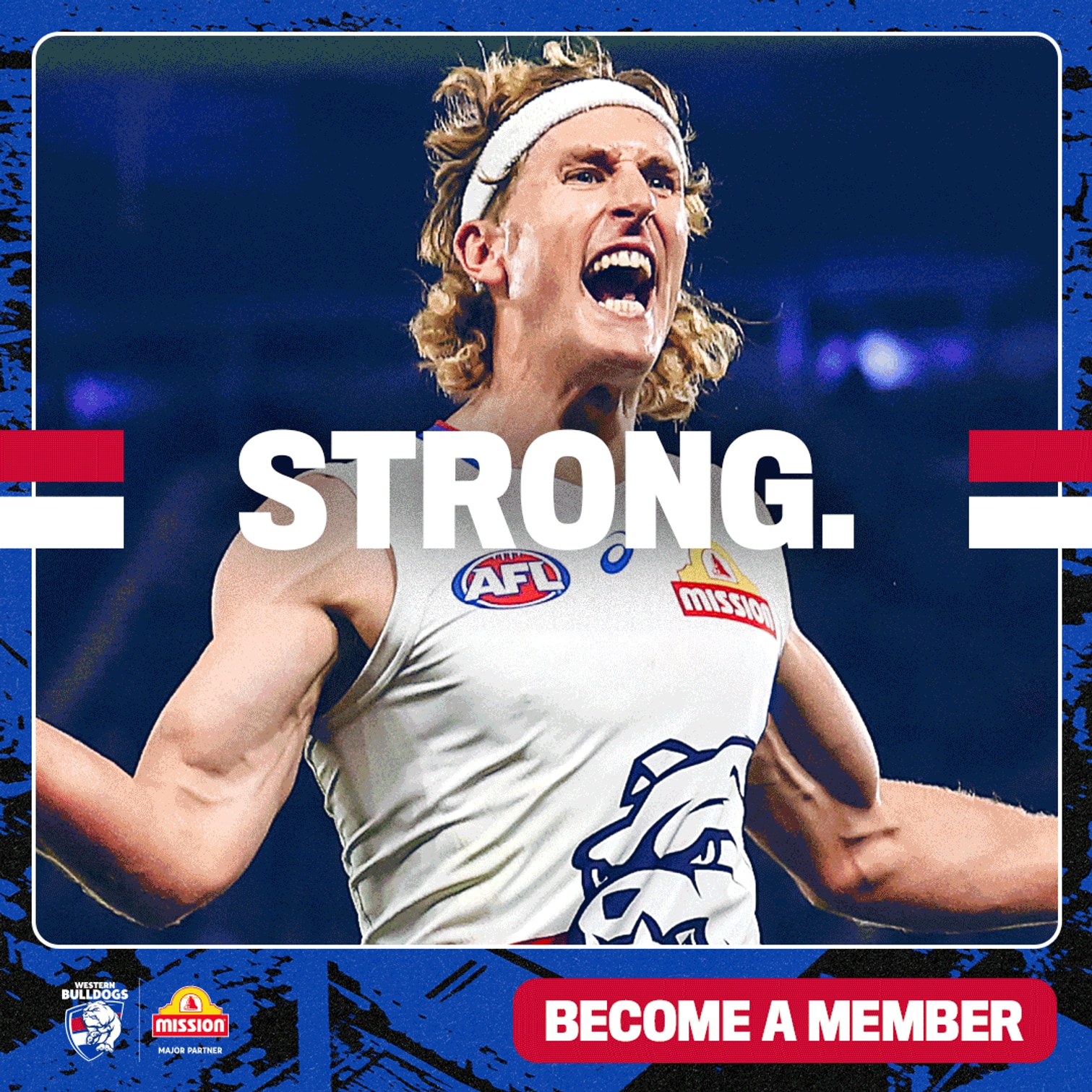 Western Bulldogs Winners list ? main image 4
