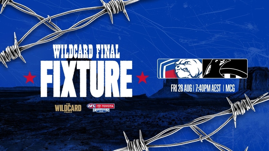 WB26-3-Wildcard Fixture Graphic-V2 (1)